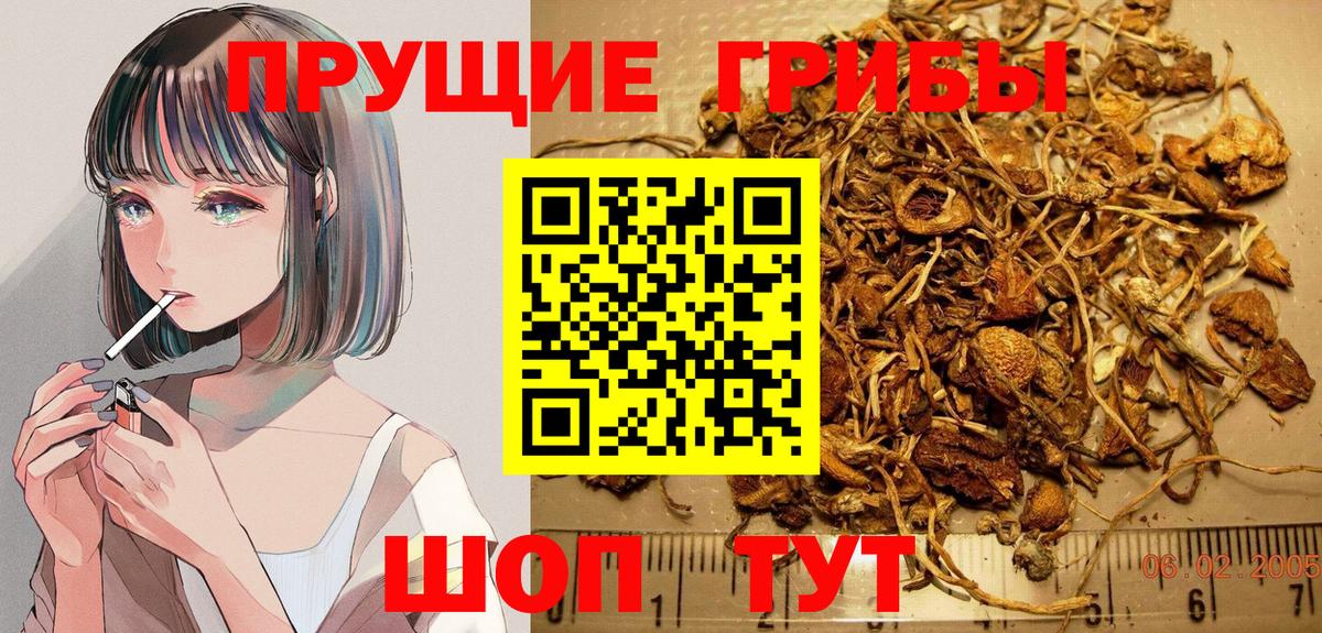 Галлюциногенные грибы Magic Shrooms Арзамас