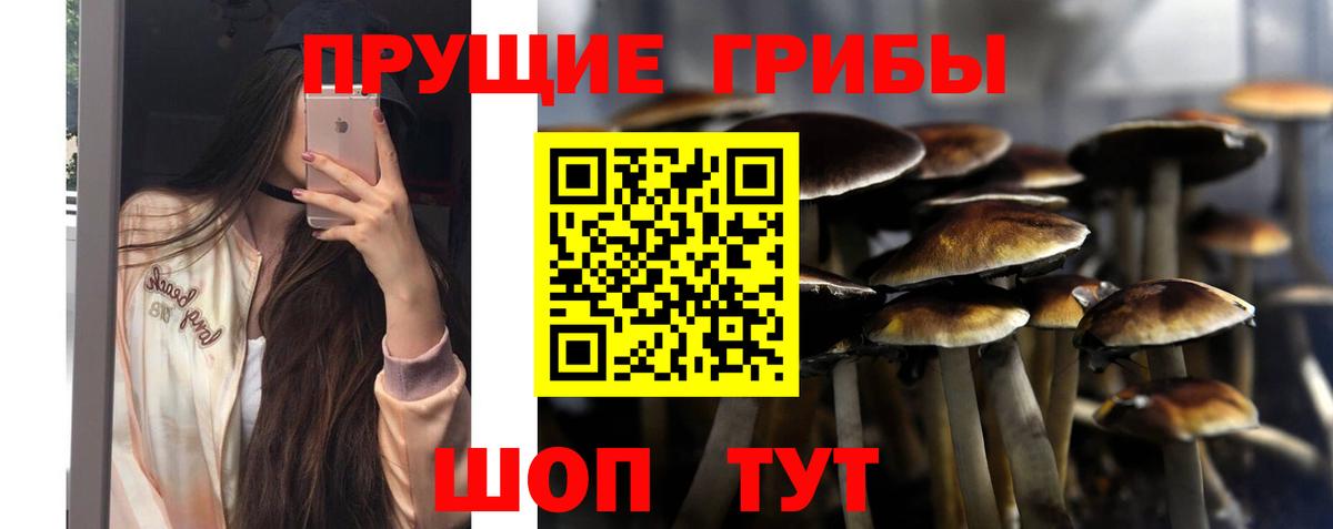 Галлюциногенные грибы ЛСД  Псилоцибиновые грибы Psilocybine cubensis  Вход с VPN  Арзамас 